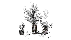 FLORES AND PLANTS