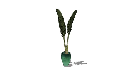 TREE-PLANT-FLOWER