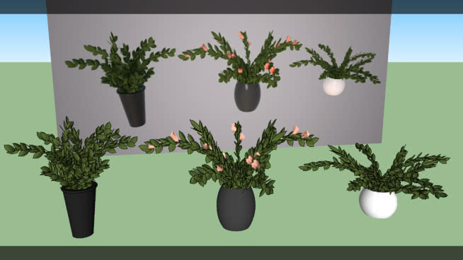 PLANTAS INTERIOR