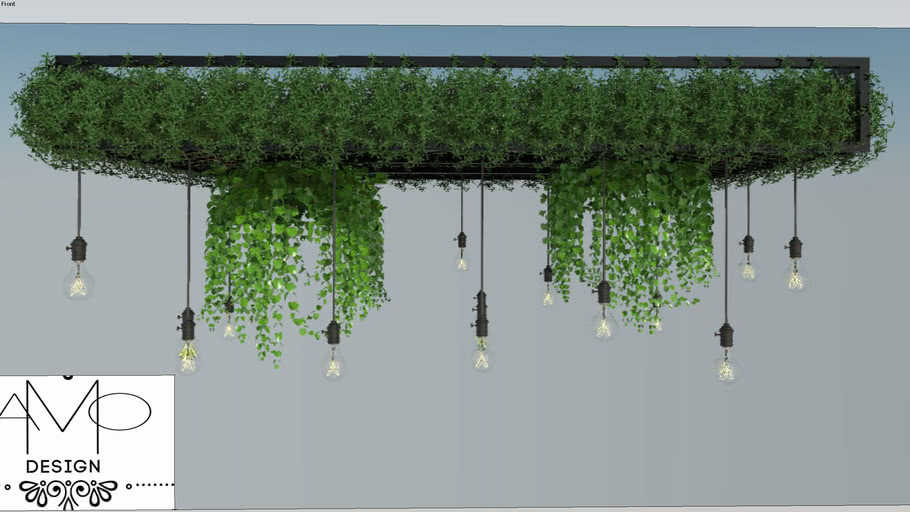 plants