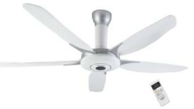 Ceiling fan