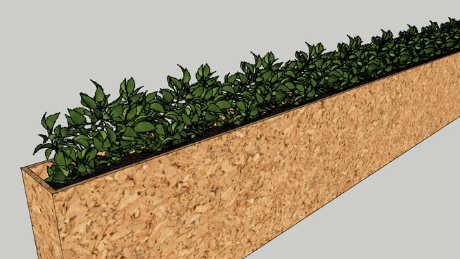 Plants