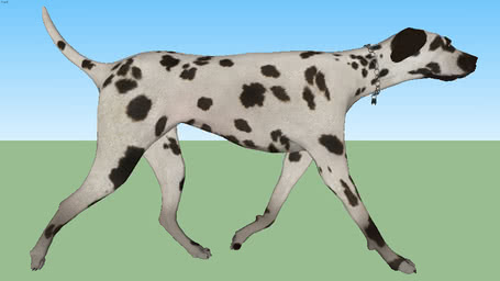 Pets