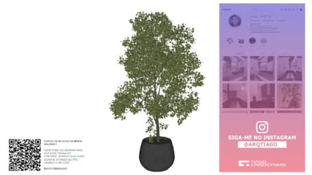 VASOS PLANTAS E FLORES