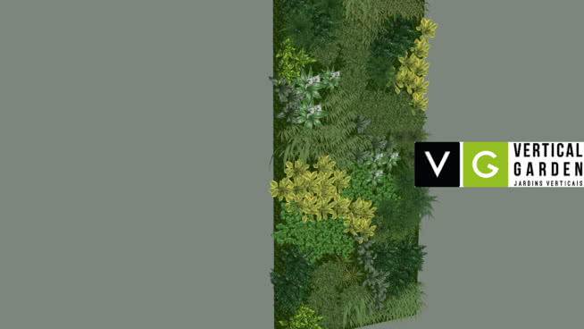 plant wall